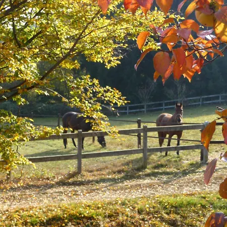 La Bertolina By Interhome Prázdninový dům Torrazzo