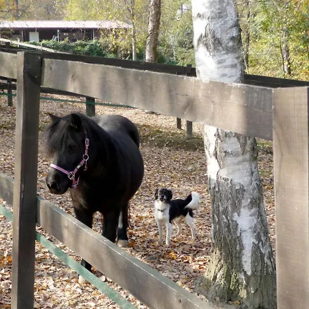 La Bertolina By Interhome *